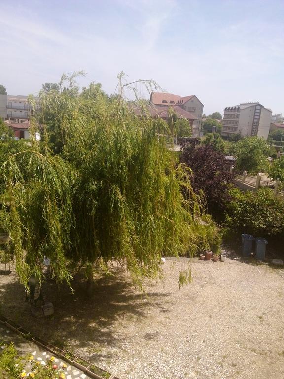 Casa Dalena Otel Costinești Dış mekan fotoğraf